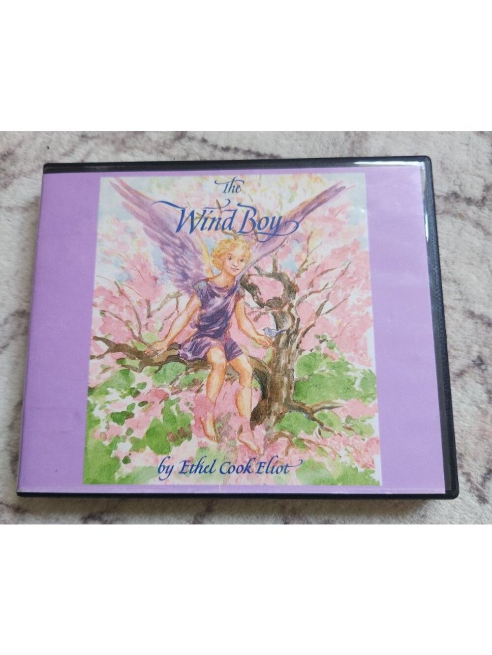 The Wind Boy By Ethel Cook Eliot 3 Disc CD Audio Story